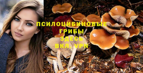 каннабис Алзамай